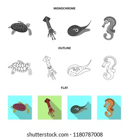 Isolated object of sea and animal symbol. Set of sea and marine vector icon for stock.