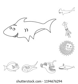 Isolated object of sea and animal symbol. Collection of sea and marine stock vector illustration.