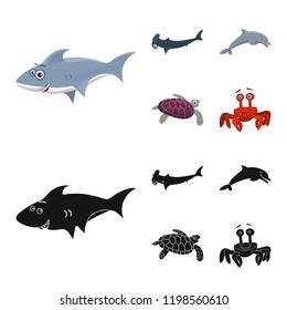 Isolated object of sea and animal symbol. Set of sea and marine stock symbol for web.