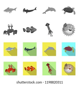 Isolated object of sea and animal symbol. Set of sea and marine vector icon for stock.
