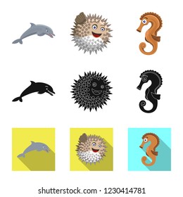 Isolated object of sea and animal symbol. Set of sea and marine stock symbol for web.