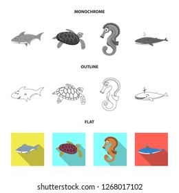 Isolated object of sea and animal symbol. Collection of sea and marine stock symbol for web.