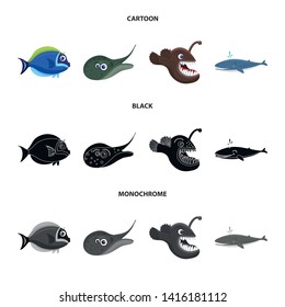 Isolated object of sea and animal symbol. Set of sea and marine stock vector illustration.
