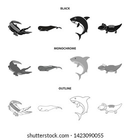 Isolated object of sea and ocean icon. Collection of sea and reptiles stock vector illustration.