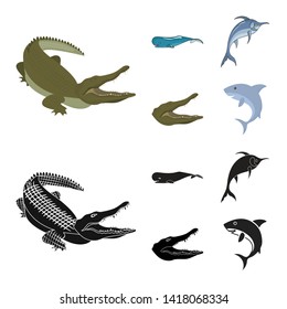 Isolated object of sea and ocean logo. Collection of sea and reptiles vector icon for stock.