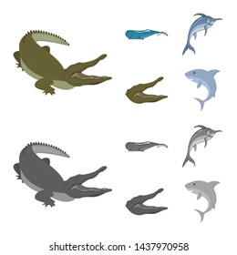 Isolated object of sea and ocean sign. Collection of sea and reptiles stock symbol for web.