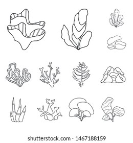 Isolated object of sea and ocean symbol. Set of sea and flora vector icon for stock.