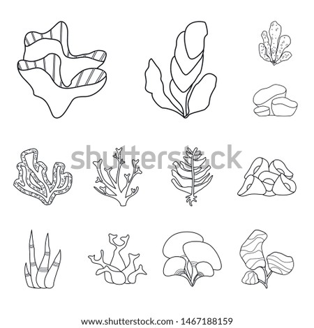 Isolated object of sea and ocean symbol. Set of sea and flora vector icon for stock.