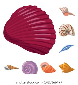Isolated object of seashell and mollusk icon. Set of seashell and seafood stock symbol for web.