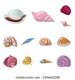 Isolated object  seashell and mollusk logo. Collection  seashell and seafood  vector icon for stock.