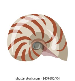 Isolated object of seashell and mollusk logo. Collection of seashell and seafood stock symbol for web.