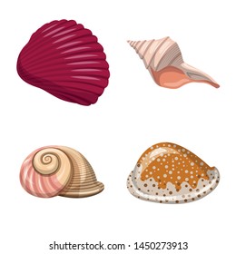 Isolated object of seashell and mollusk logo. Collection of seashell and seafood stock symbol for web.