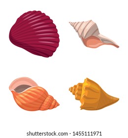 Isolated object of seashell and mollusk sign. Collection of seashell and seafood stock vector illustration.