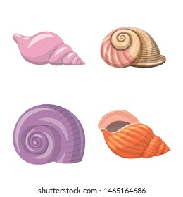 Isolated object of seashell and mollusk sign. Set of seashell and seafood vector icon for stock.