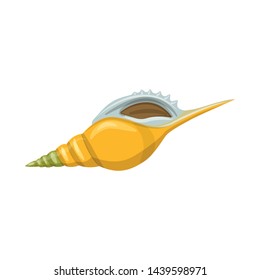 Isolated object of seashell and mollusk symbol. Collection of seashell and seafood stock symbol for web.