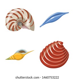 Isolated object of seashell and mollusk symbol. Collection of seashell and seafood stock vector illustration.