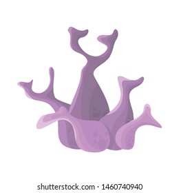 Isolated object of seaweed and coral icon. Set of seaweed and organic stock symbol for web.