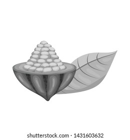 Isolated object of seed and chocolate symbol. Collection of seed and fresh stock symbol for web.