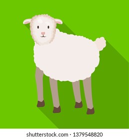 Isolated object of sheep and anima symbol. Set of sheep and lamb stock symbol for web.
