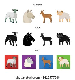 Isolated object of sheep and goat icon. Collection of sheep and happy  stock symbol for web.