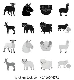 Isolated object of sheep and goat icon. Set of sheep and happy  stock symbol for web.