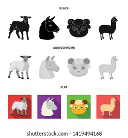 Isolated object of sheep and goat logo. Set of sheep and happy  vector icon for stock.