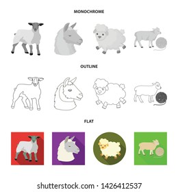 Isolated object of sheep and goat logo. Collection of sheep and happy stock symbol for web.