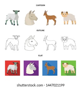 Isolated object of sheep and goat logo. Set of sheep and happy stock symbol for web. Isolated object of sheep and goat logo. Set of sheep and happy stock symbol for web.