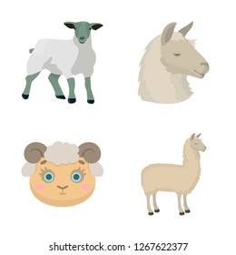 Isolated object of sheep and goat sign. Collection of sheep and happy  vector icon for stock.