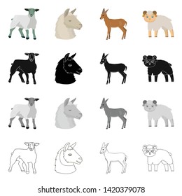 Isolated object of sheep and goat sign. Collection of sheep and happy  vector icon for stock.