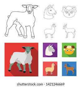 Isolated object of sheep and goat symbol. Collection of sheep and happy  stock symbol for web.