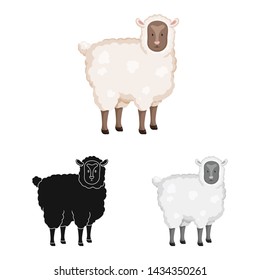 Isolated object of sheep and pet icon. Set of sheep and lamb stock symbol for web.