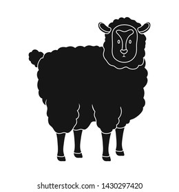 Isolated object of sheep and pet logo. Collection of sheep and lamb stock vector illustration.