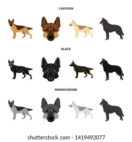 Isolated object of sheepdog and sheltie logo. Collection of sheepdog and shepherd vector icon for stock.