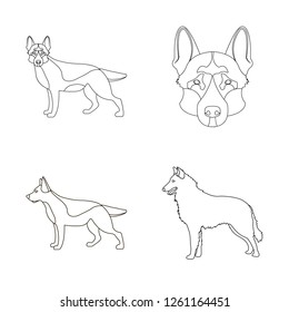 Isolated object of  and sheepdog symbol. Collection of  and german stock vector illustration.