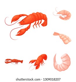 Isolated object of shrimp and crab icon. Collection of shrimp and sea vector icon for stock.