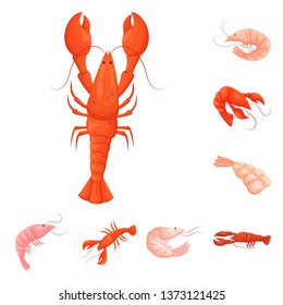 Isolated object of shrimp and crab icon. Set of shrimp and sea stock vector illustration.