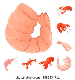 Isolated object of shrimp and crab icon. Set of shrimp and sea stock symbol for web.