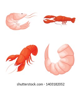 Isolated object of shrimp and crab icon. Set of shrimp and sea stock vector illustration.