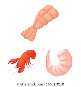 Isolated object of shrimp and crab icon. Set of shrimp and sea vector icon for stock.