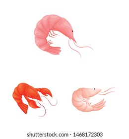 Isolated object of shrimp and crab icon. Set of shrimp and sea stock symbol for web.