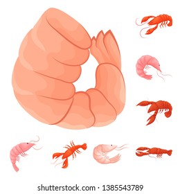 Isolated object of shrimp and crab logo. Collection of shrimp and sea stock vector illustration.