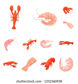 Isolated object of shrimp and crab symbol. Set of shrimp and sea vector icon for stock.