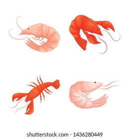 Isolated object of shrimp and crab symbol. Collection of shrimp and sea stock symbol for web.