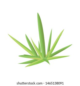 Isolated object of shrubs and bush icon. Collection of shrubs and stem vector icon for stock.