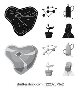Isolated object of  and  sign. Collection of  and  stock vector illustration.