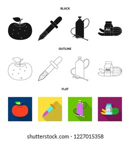 Isolated object of  and  sign. Set of  and  stock symbol for web.