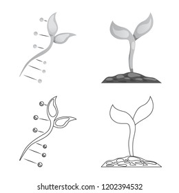 Isolated object of  and  sign. Set of  and  vector icon for stock.