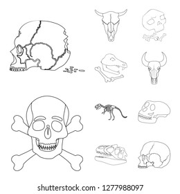Isolated object of skeleton and character symbol. Collection of skeleton and halloween stock vector illustration.