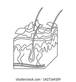 Isolated object of skin and epidermis sign. Collection of skin and tissue stock symbol for web.